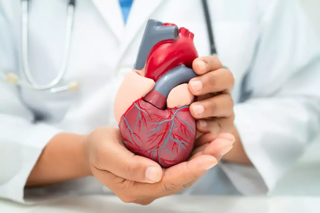 The Physiology Behind Atrial Flutter The Physiology Behind Atrial Flutter