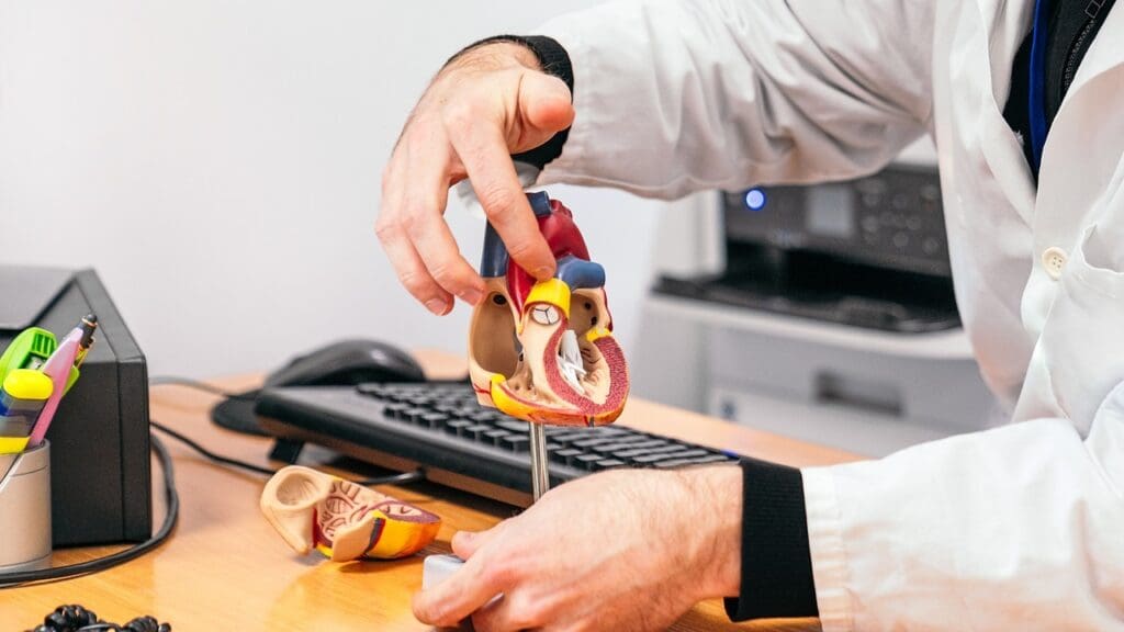 The Science Behind Mitral Valve Ring Repair The Science Behind Mitral Valve Ring Repair