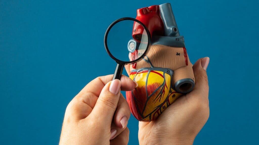 Understanding Leaky Heart Valves Understanding Leaky Heart Valves