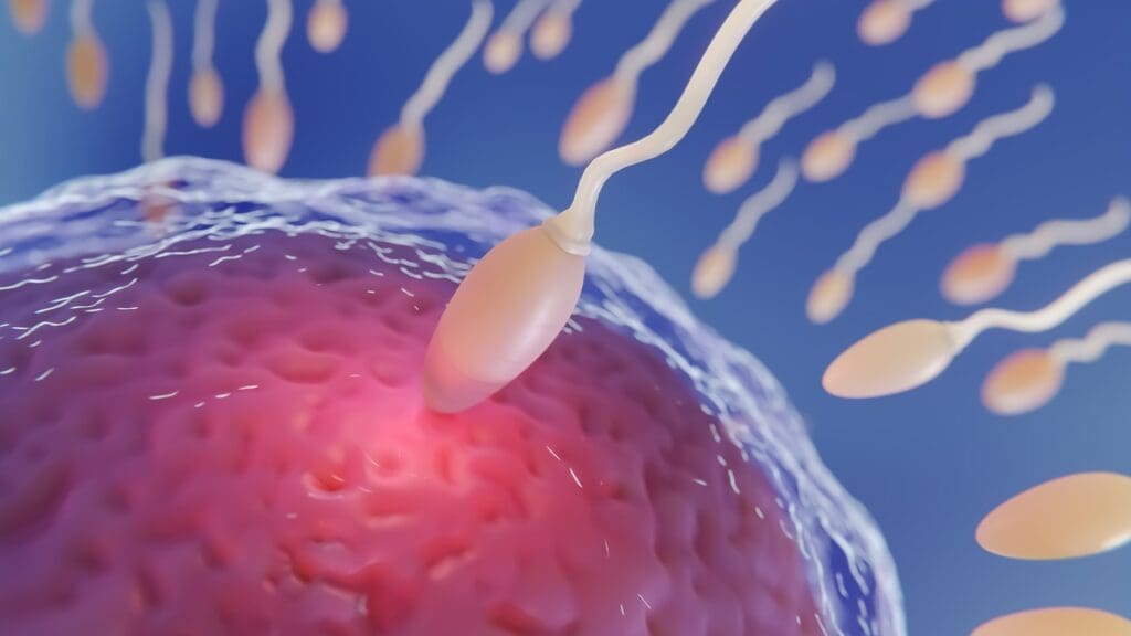 Viagra mechanism of action Viagra mechanism of action