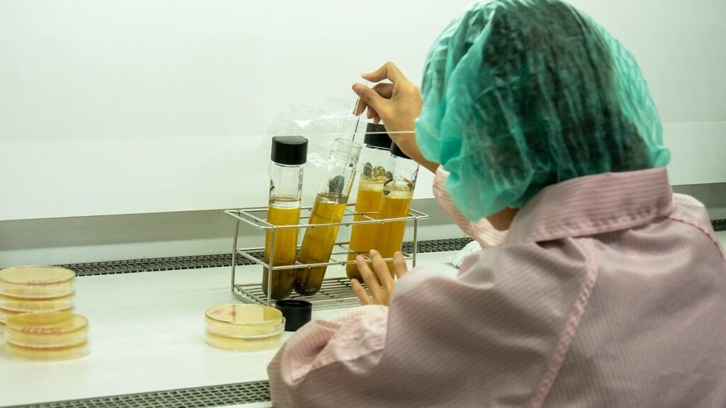 alkylating agents in cancer treatment alkylating agents in cancer treatment