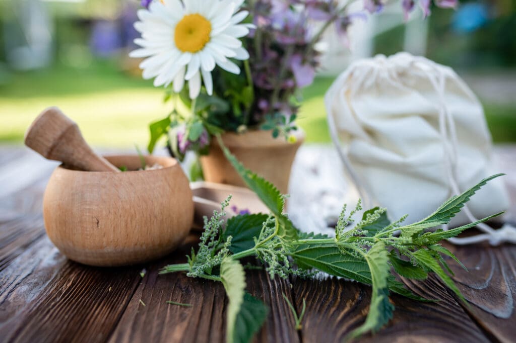 alternative medicine alternative medicine