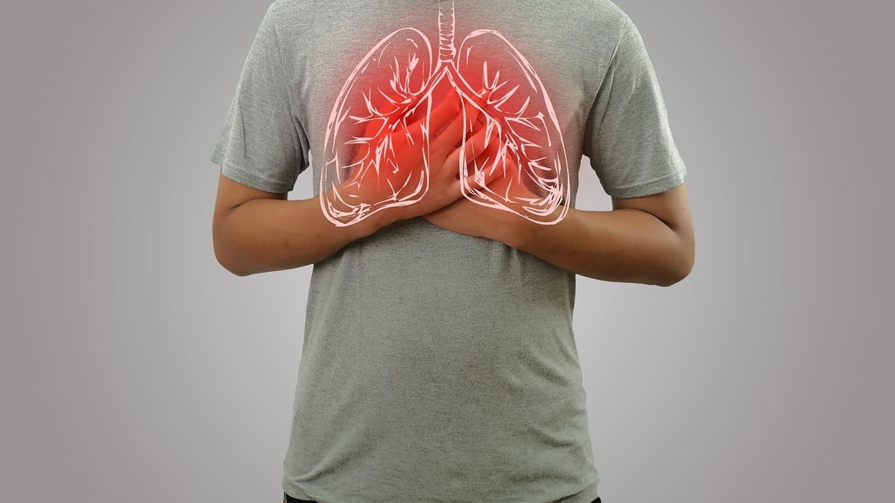 Pulmonary Artery to Lungs: 8 Key Facts on Structure, Function & Size