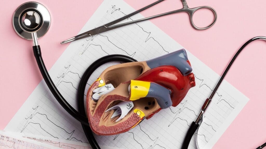 ascending thoracic aorta ascending thoracic aorta