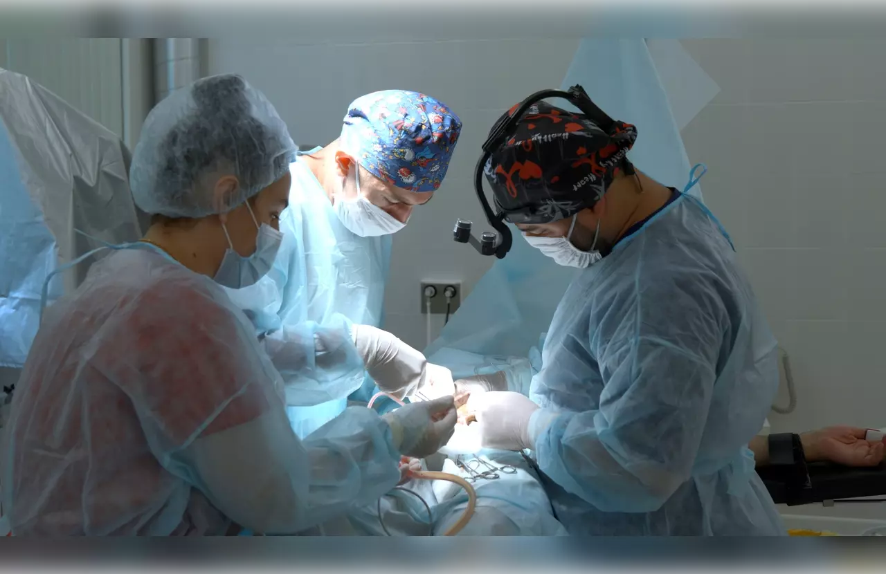 How to Undergo an Autologous BMT: Step-by-Step Auto Stem Cell Transplant Process