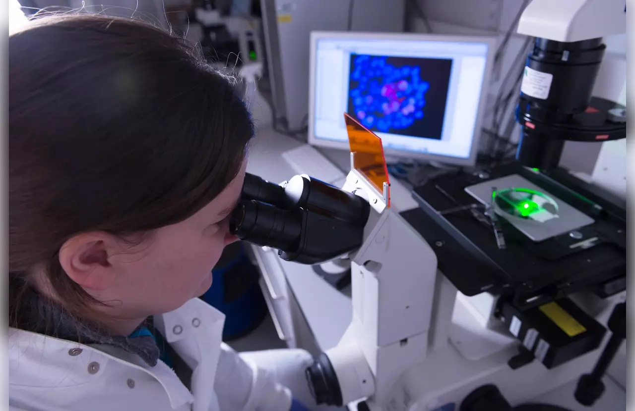 What Does 'Autologous' Mean in Medical Terms and How Is It Used?