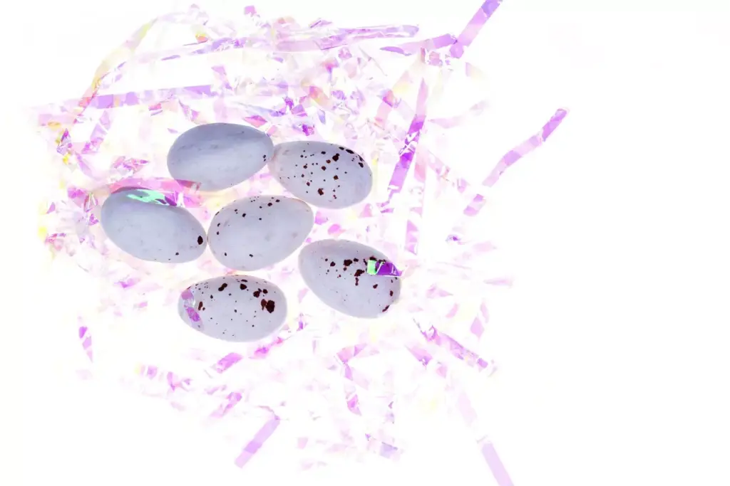 b cell b lymphocyte b cell b lymphocyte