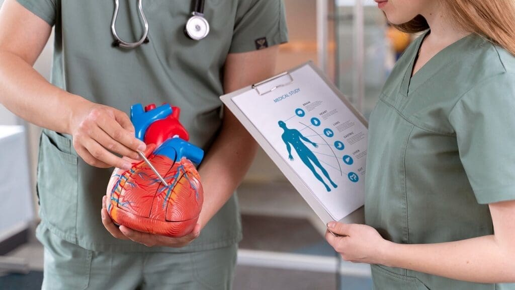 blood vessels diagram blood vessels diagram