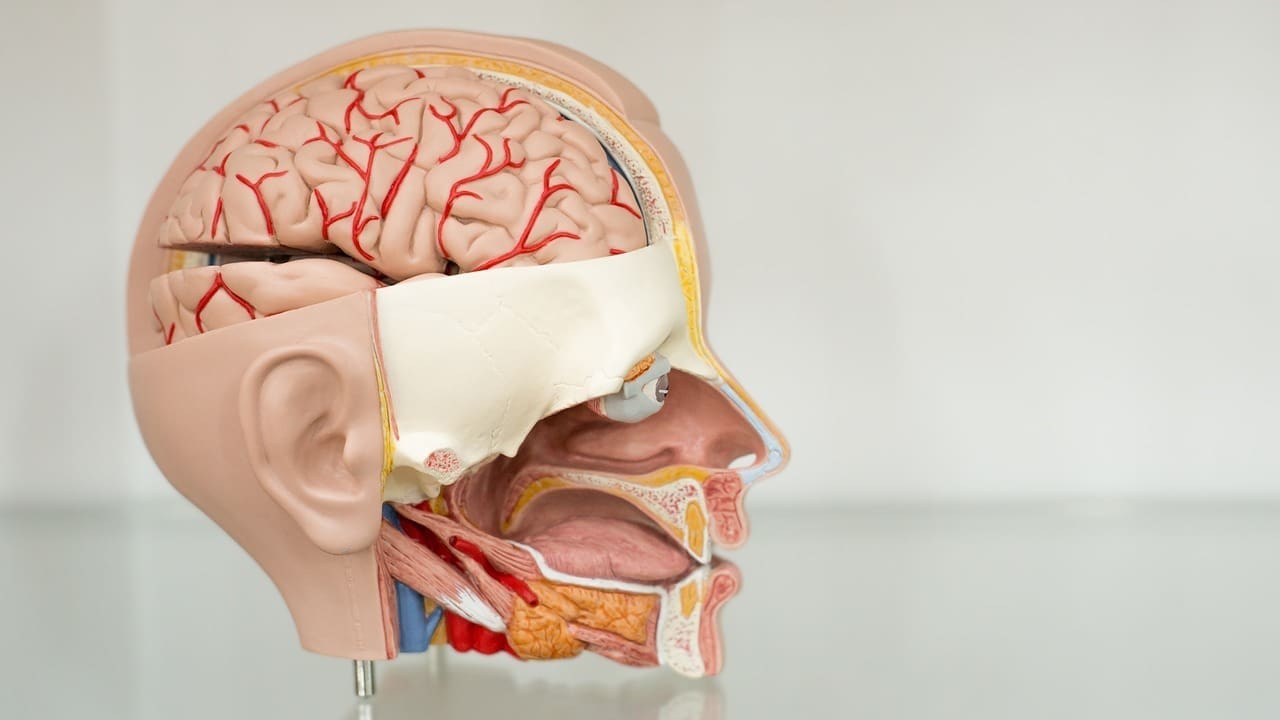 Brain Cancer Behind Eye: 10 Key Facts About Tumor Types and Risks