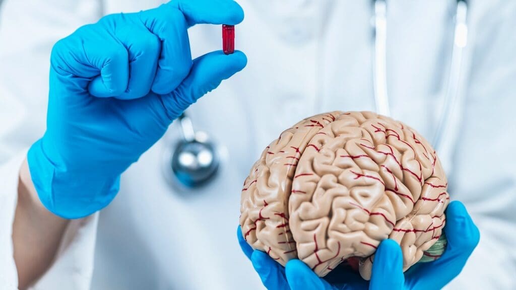 brain lesion location