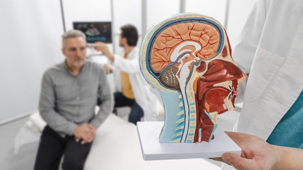 7 Key Steps for Brain Tumor Removal Recovery: What Patients Should Expect