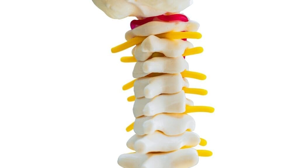 bulging disc causing sciatica bulging disc causing sciatica