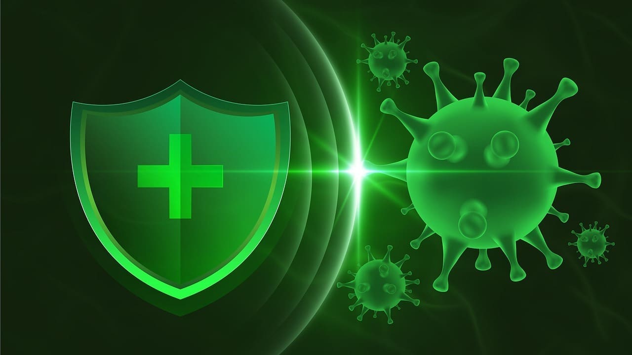 How Does Your Immune System Fight Cancer and Can It Protect You Naturally?