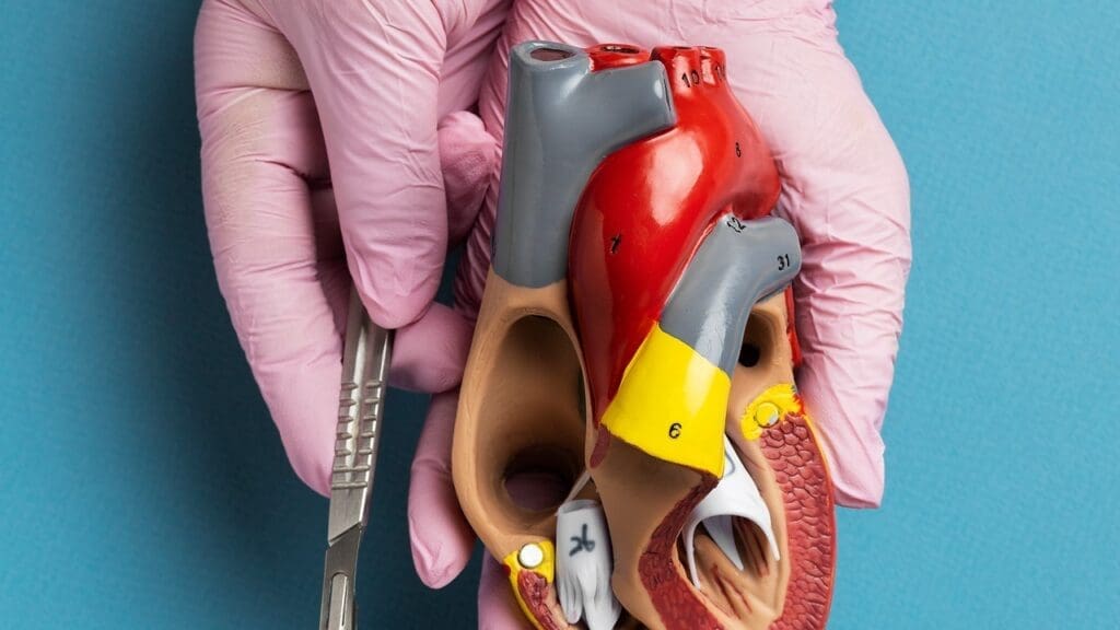 cardiac biomarkers in myocardial infarction cardiac biomarkers in myocardial infarction