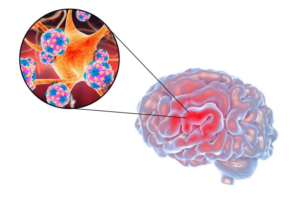 cross-section illustration of the blood-brain barrier cross-section illustration of the blood-brain barrier