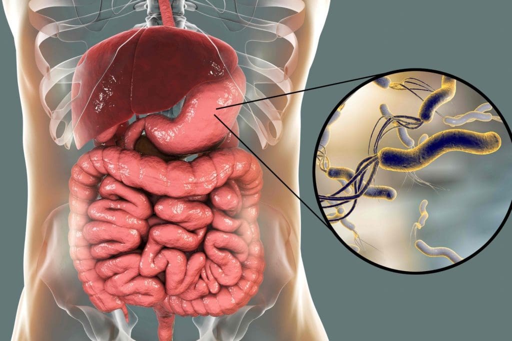cross-section of the abdominal region, showcasing the complex anatomy of stomach cancer and its involvement with the lymphatic system