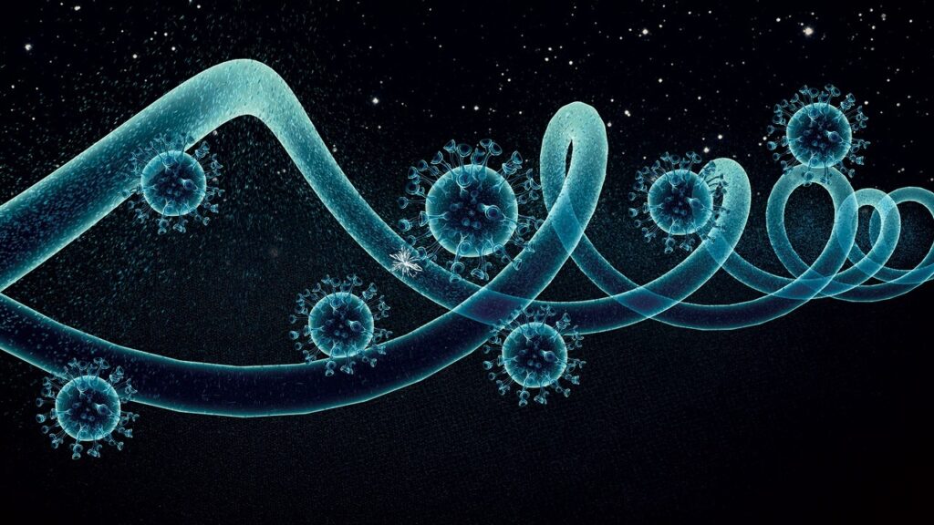 haplo stem cell transplant