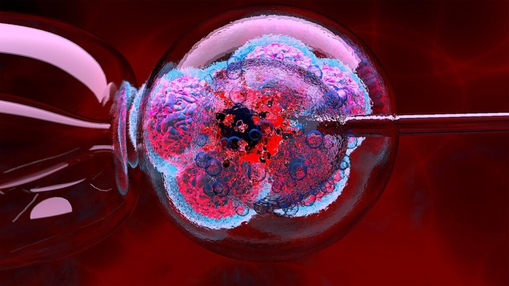 hematopoietic progenitor cells hematopoietic progenitor cells