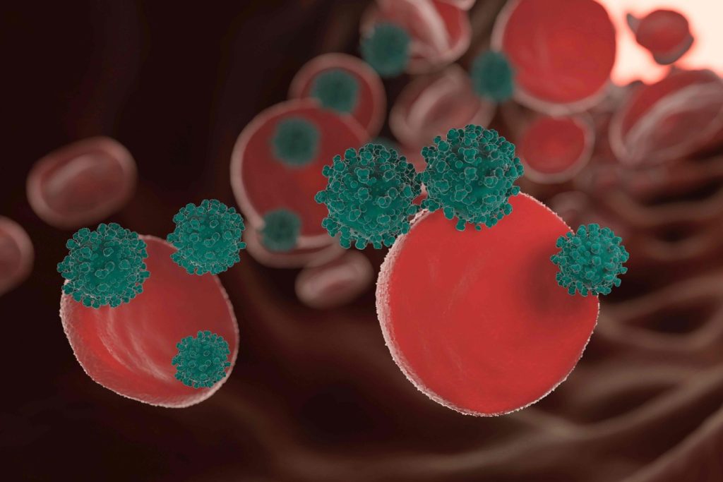 how does hematopoiesis occur