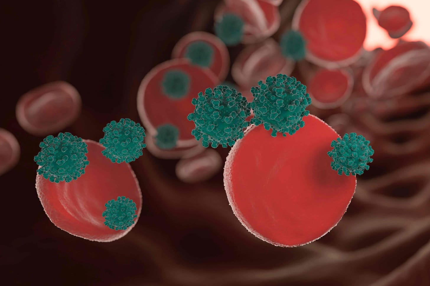 How Does Hematopoiesis Occur and Where Does It Take Place in Adults?