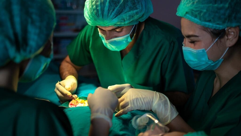 How Risky Is Brain Surgery for Tumor Removal—and What Factors Affect Safety?