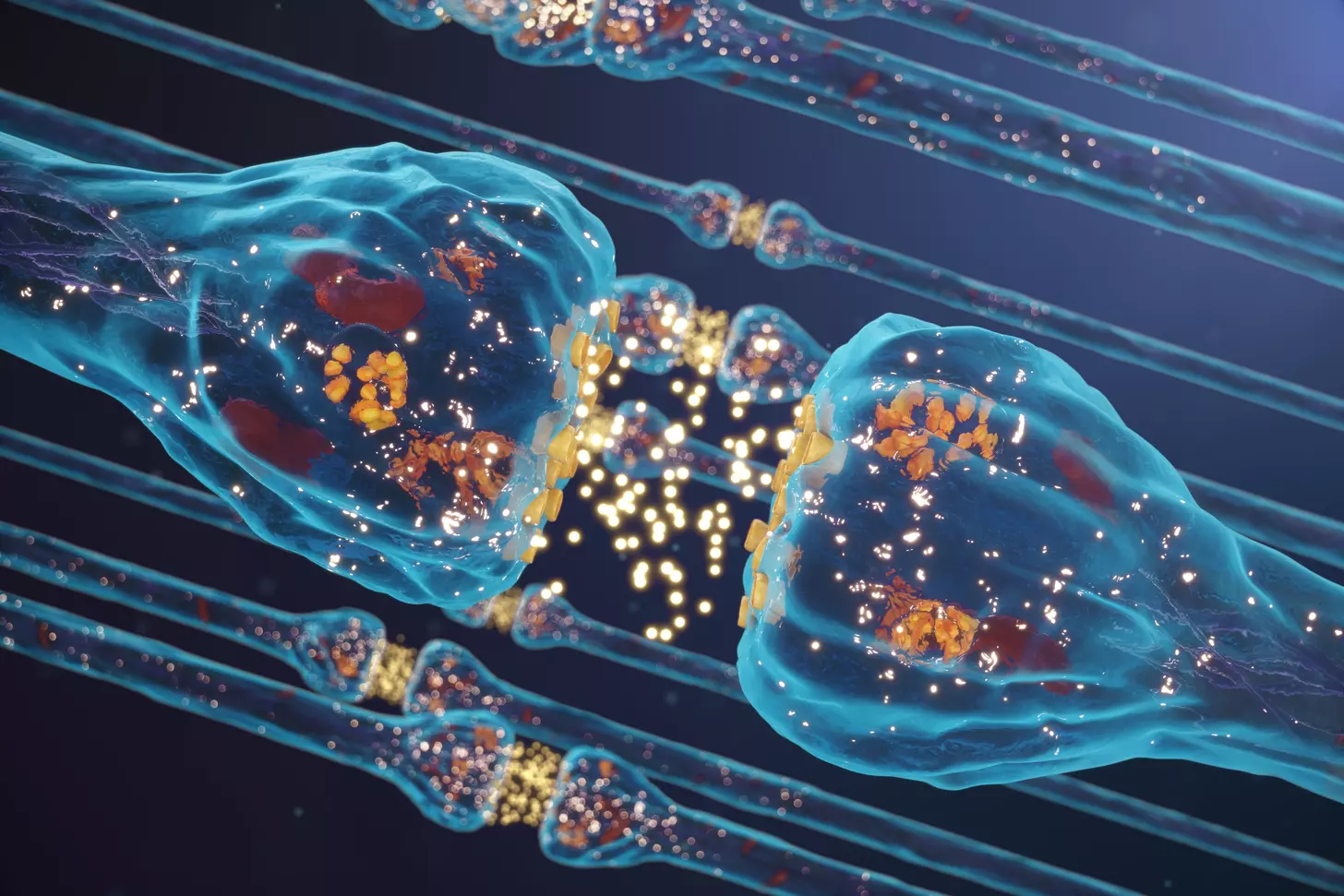 human cellular regeneration