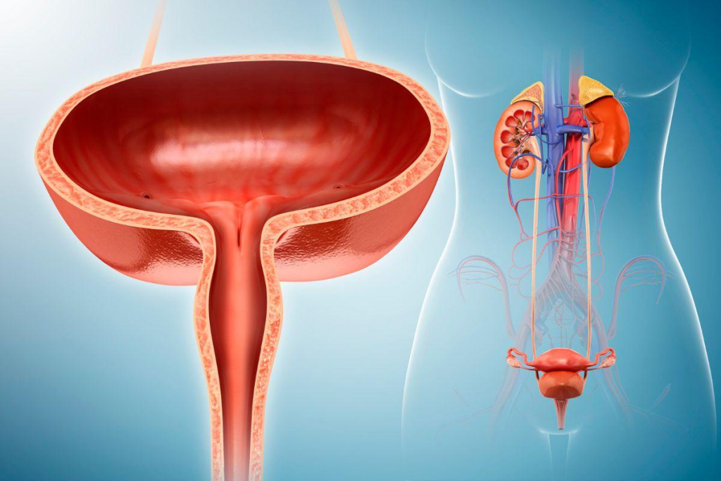 Bladder Control: 4 Neurological Causes