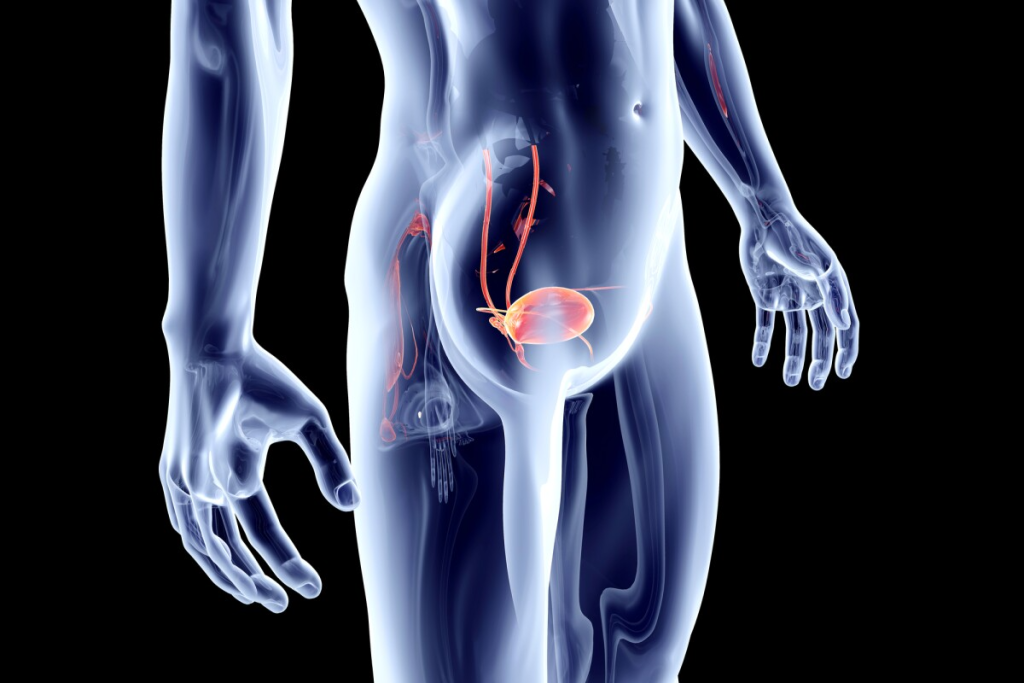 Bladder Control: 4 Neurological Causes