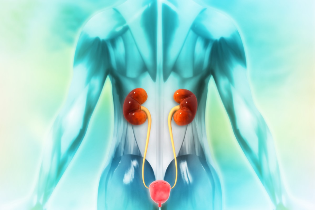 Hypotonic Bladder: Nervous System Control