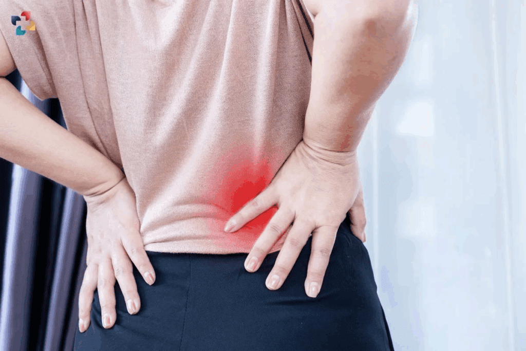 Disc Degeneration Causes Explained