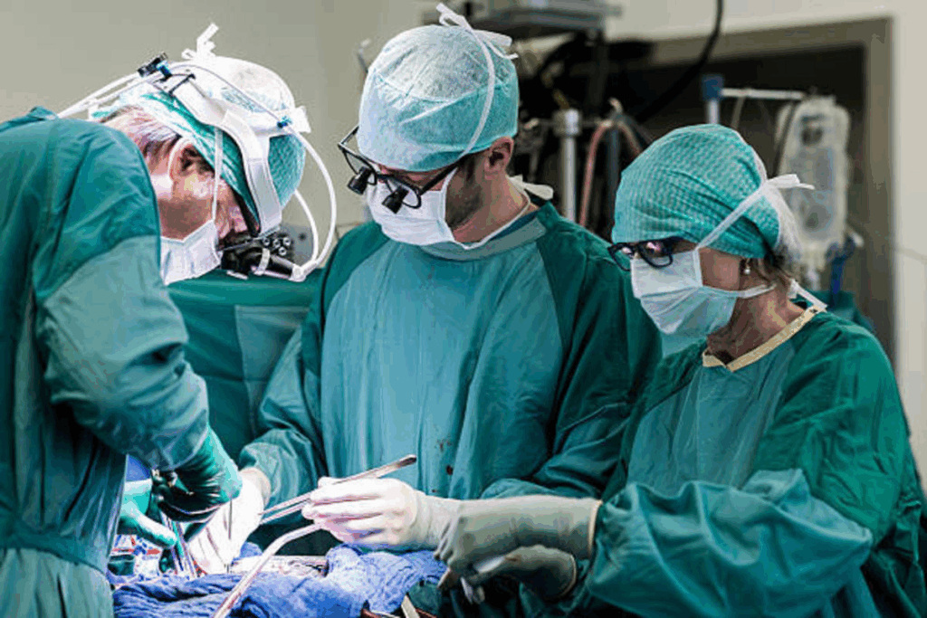 Balloon vs Stent: 5 Key Differences