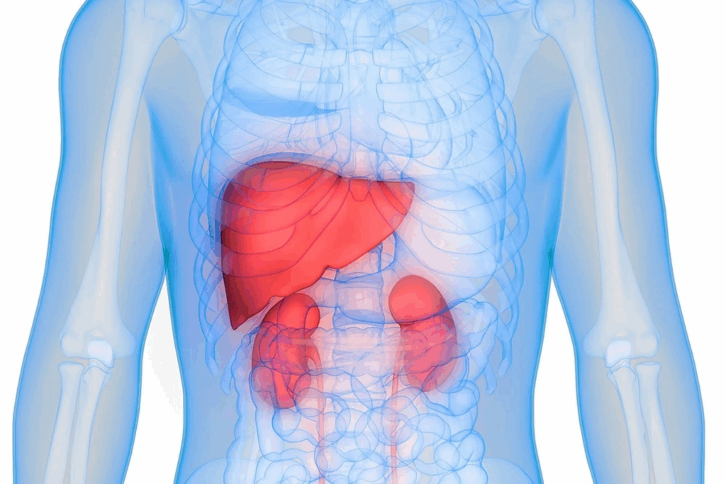 Liver Drainage: The Essential Guide to Catheters