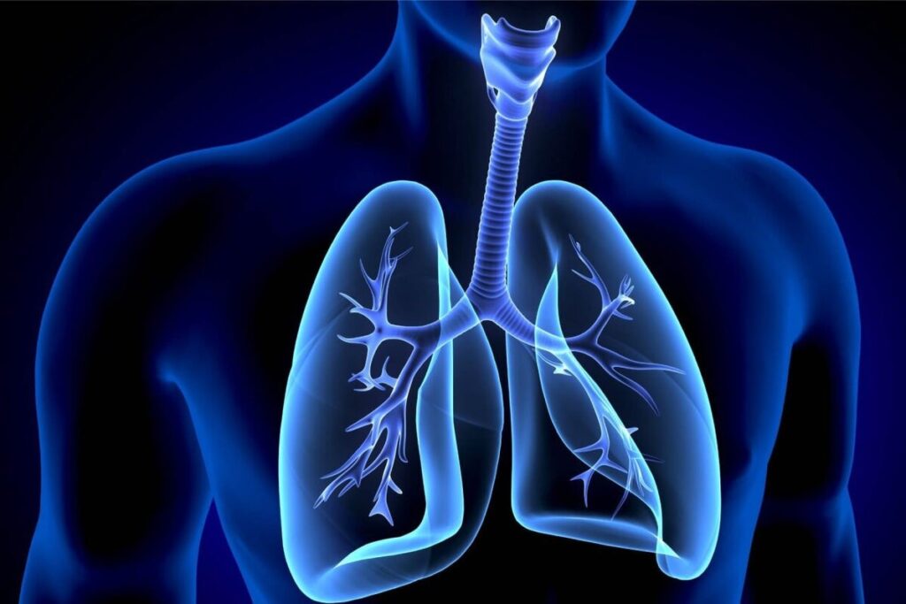 Apices of the Lungs: Wheezing With Clear Lungs Explained