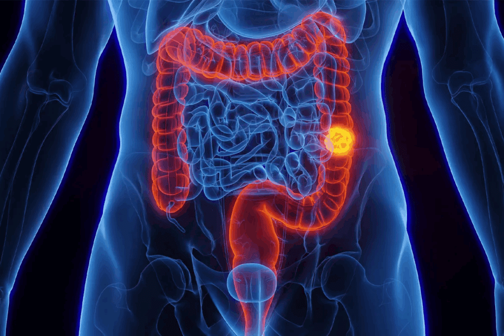Descending Colon: Location and Key Functions