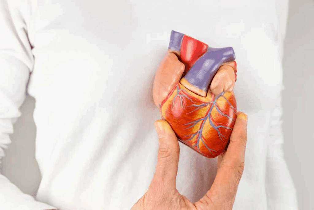 CHF Cardiac Output: How It Affects Heart Failure