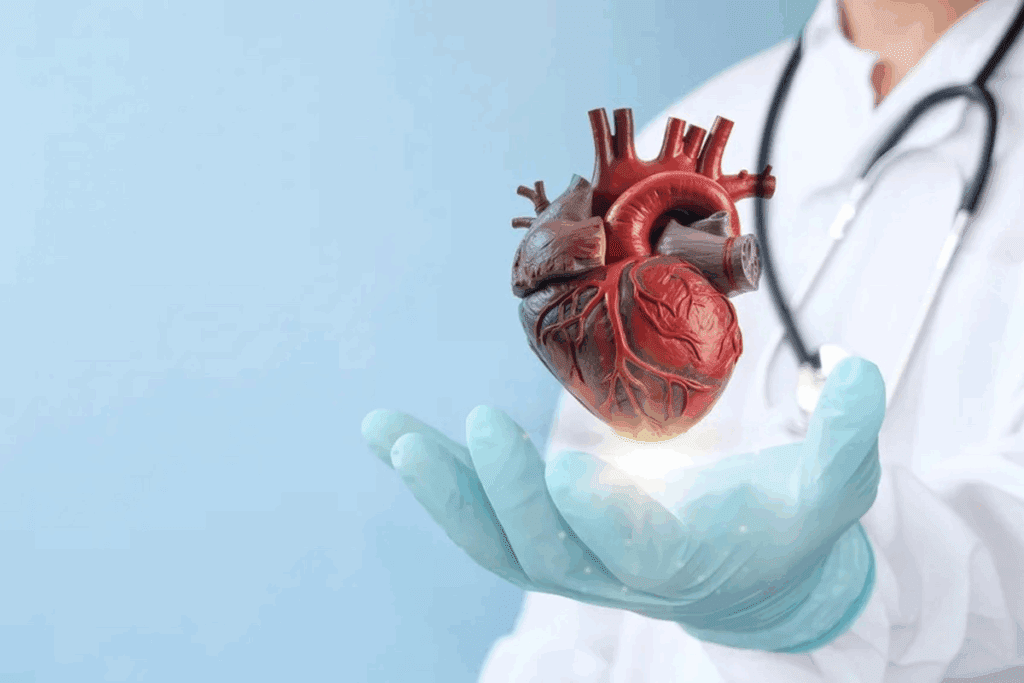 Heart Arteries: Crucial 10 Key Facts Explained Simply