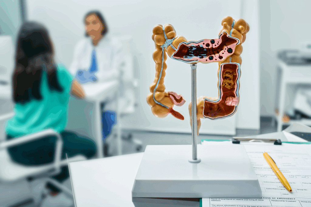 Coronary Vessel Anatomy: 11 Crucial Key Facts