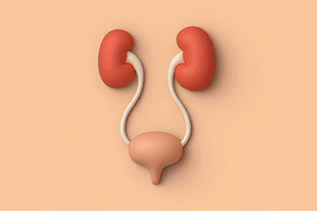 BPH and PSA: How to Diagnose Benign Prostatic Hyperplasia