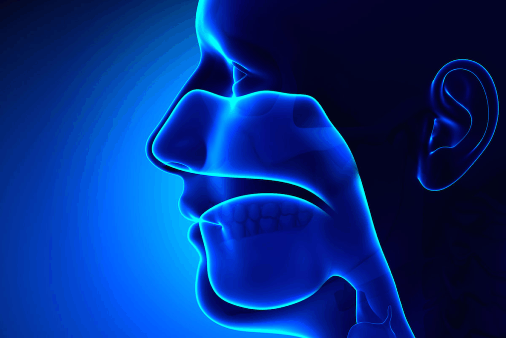 Neck Hurts Sinus Infection: Why It Happens