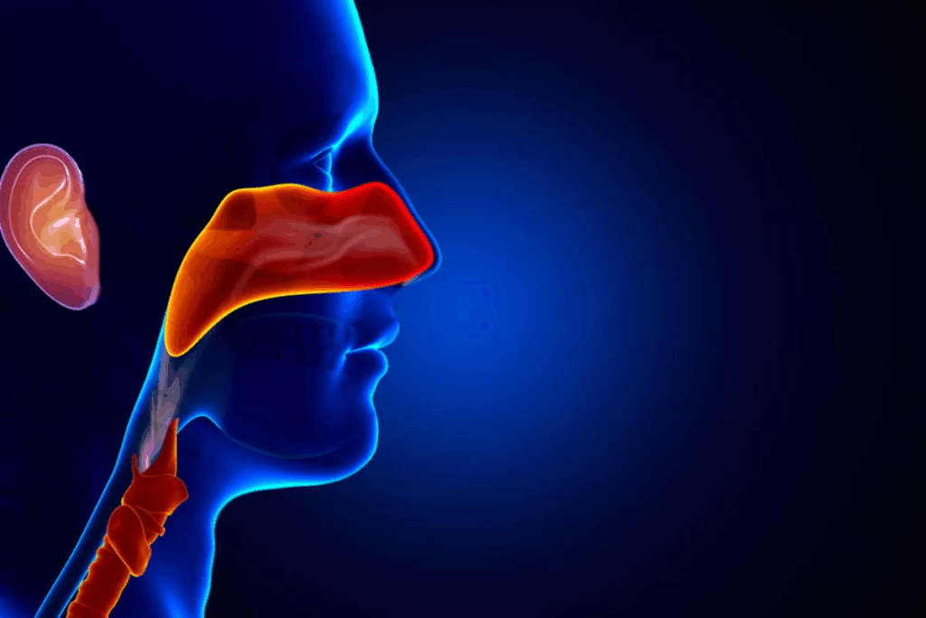 Burning Nose and Throat: Causes & Relief
