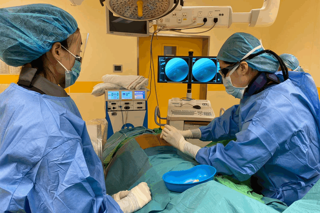 Bladder Stones Treatment: How to Remove Stones Safely