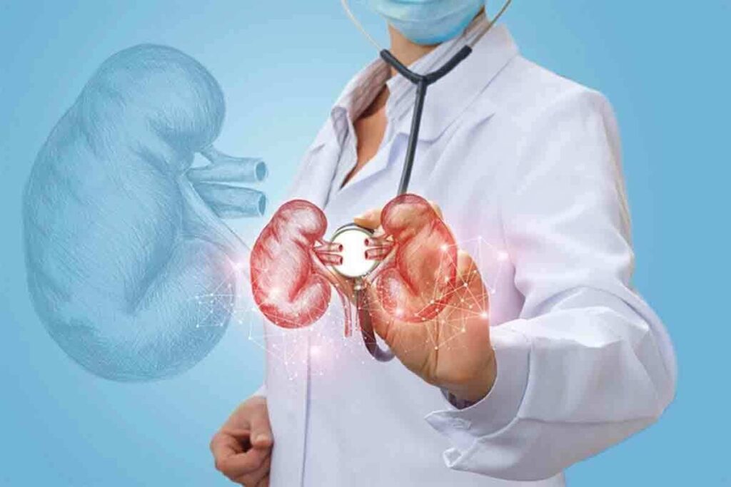 Kidney Scintigraphy: Uses & Diagnostic Value