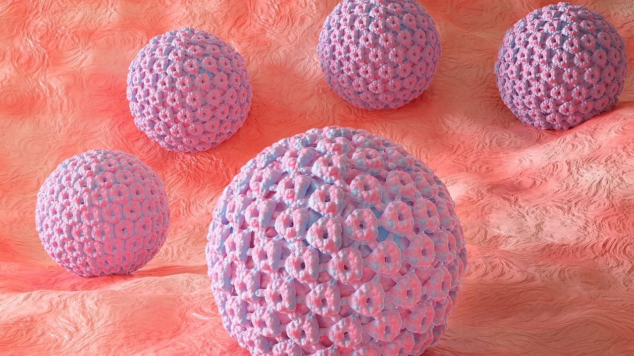 DLBCL Lymphoma: 7 Key Facts About Large B Cell Lymphomas and Subtypes