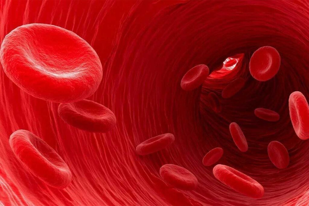 What Is the Meaning of Thrombus? Key Facts About Thrombi and Blood Clots