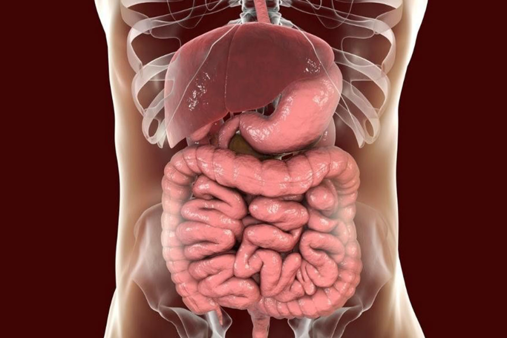 Congenital Malformations: GI Tract Disorders