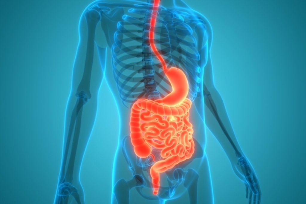Congenital Malformations: GI Tract Disorders