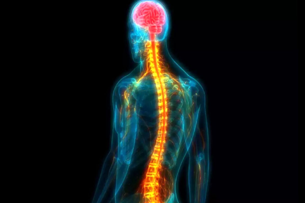 Syringomyelia: Powerful Symptoms and Treatment Explained