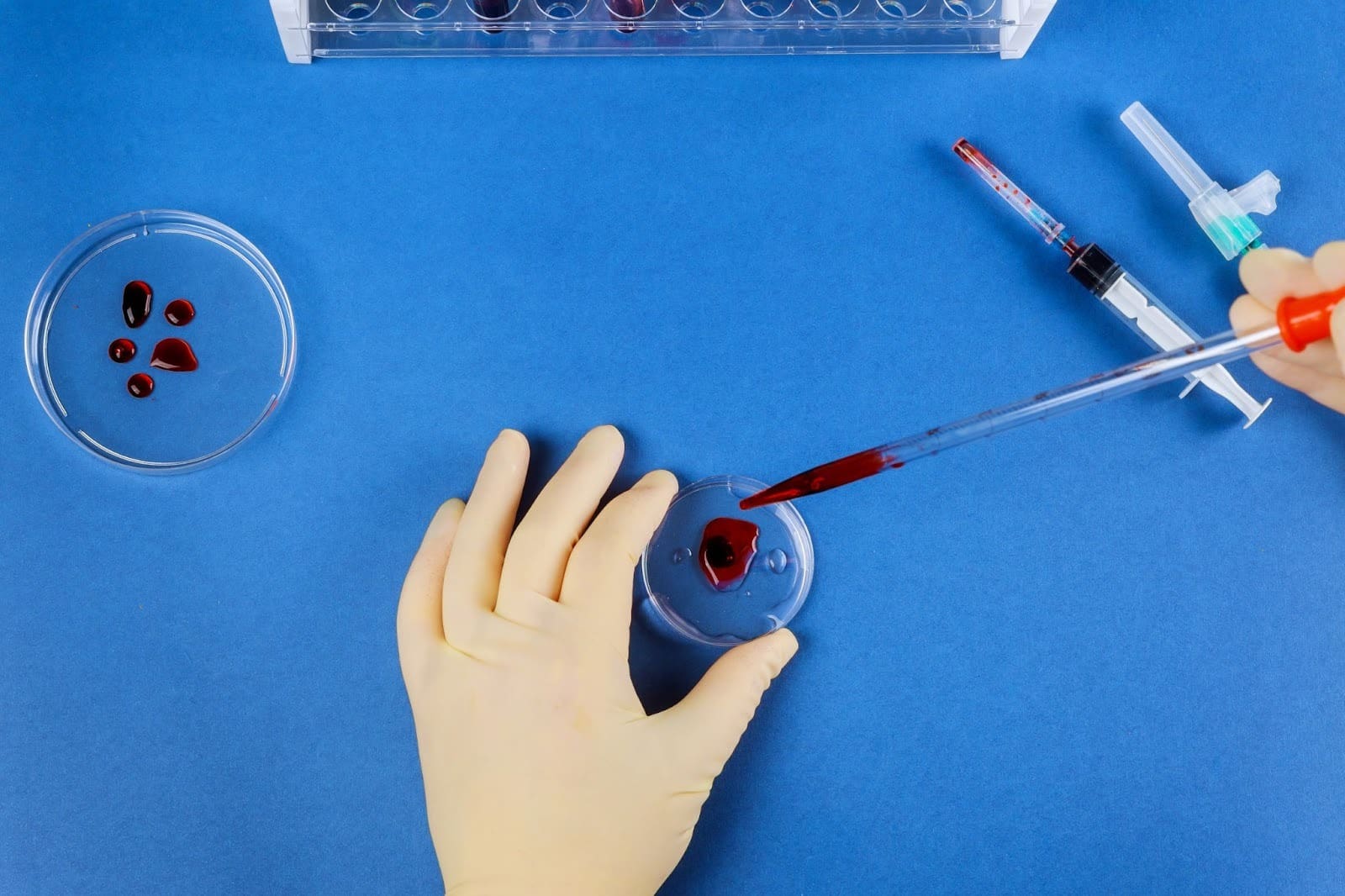 7 Key Medical Terms for the Formation and Study of Cells and Tissues