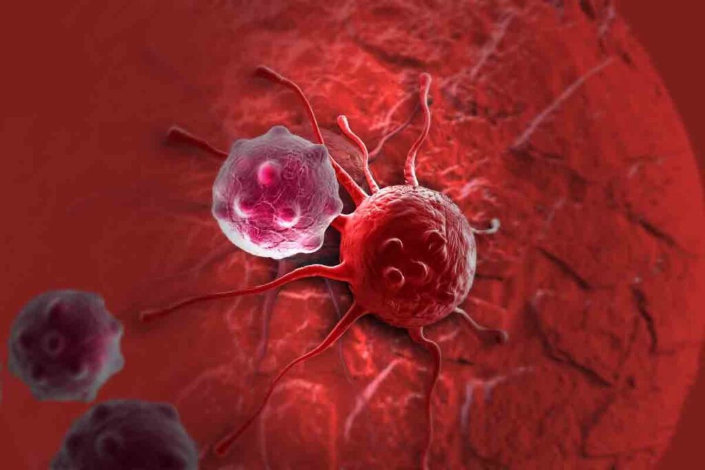 Cancer Tumor: 2 Main Types and Their Key Differences Explained