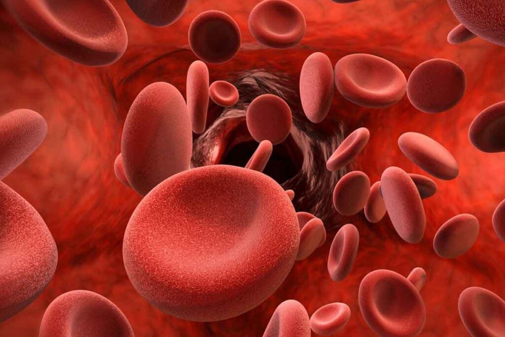 10 Common Blood Diseases and Disorders: Quick Facts and Symptoms